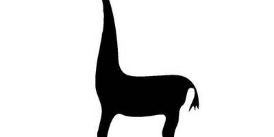 Животные 1736