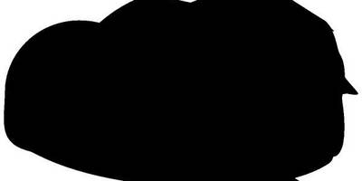 Животные 1552