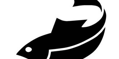 Животные 727