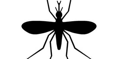 Животные 625