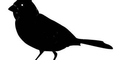 Животные 1183