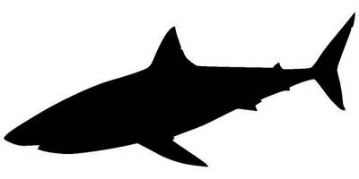 Животные 4329