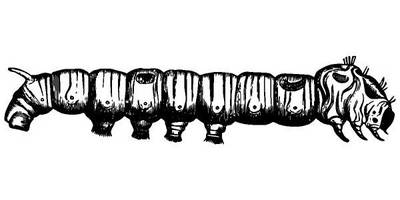 Животные 2846