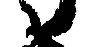 Животные 1674