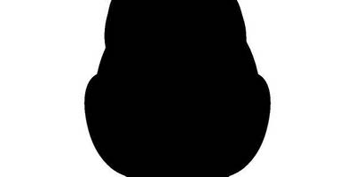 Животные 1297