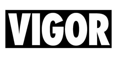 VIGOR logo
