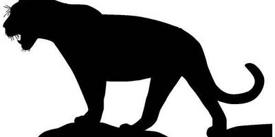 Животные 147