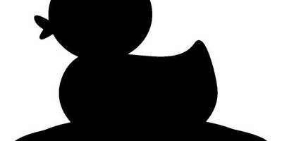 Животные 2358