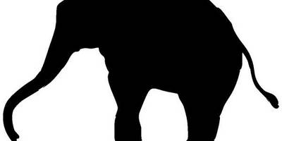 Животные 584