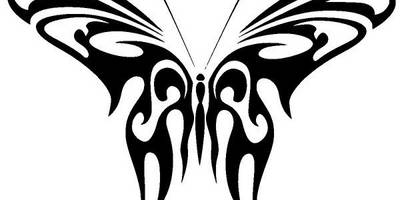 Животные 2568