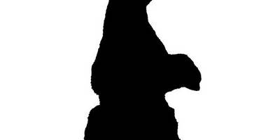 Животные 2218