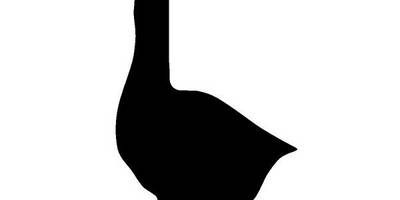 Животные 813