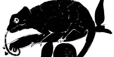 Животные 2325