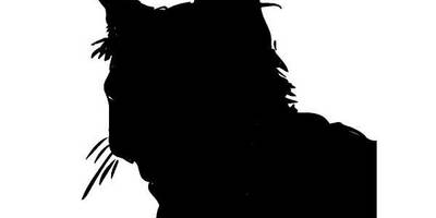 Животные 211