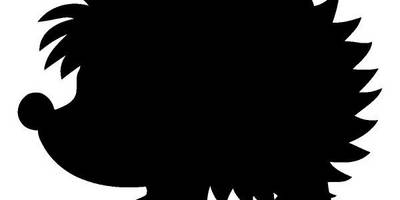 Животные 2426