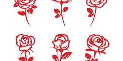 8 марта силуэты роз