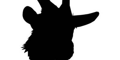 Животные 3419