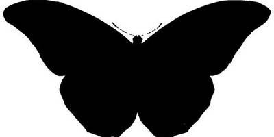 Животные 1385