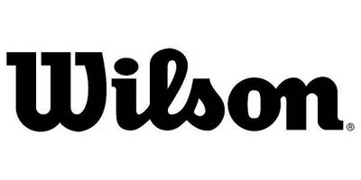 Wilsin logo