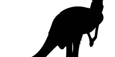 Животные 663