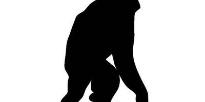 Животные 280