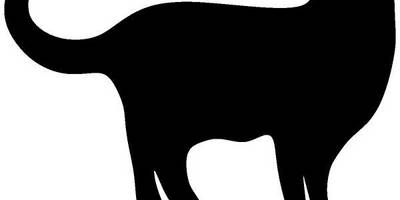 Животные 1590