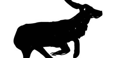 Животные 218