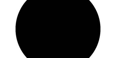 Животные 2169