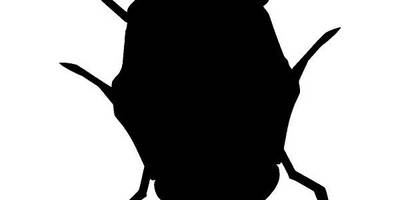 Животные 3046