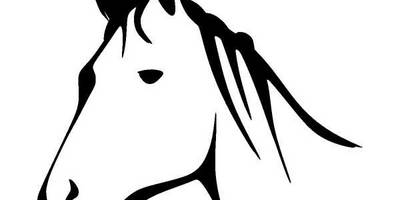 Животные 1137