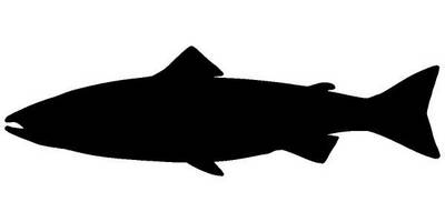 Животные 2827