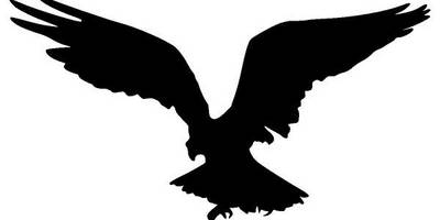 Животные 3317