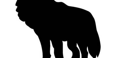 Животные 2464