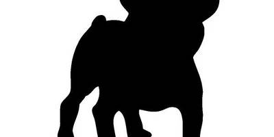 Животные 2666