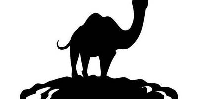 Животные 3158