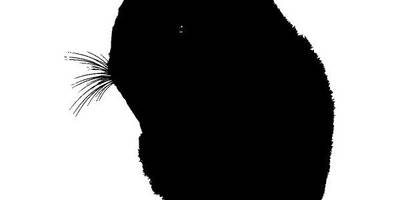 Животные 3099