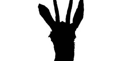 Животные 2760