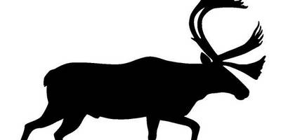 Животные 713