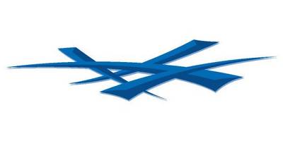 Виниловая наклейка на авто 215