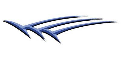 Виниловая наклейка на авто 77