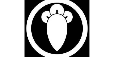 Японский узор 2526