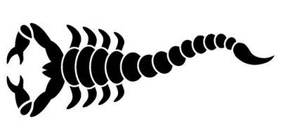 Виниловая наклейка на авто 73