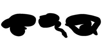 Животные 3235