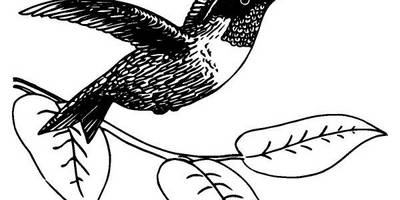 Животные 1041