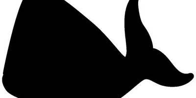 Животные 1739