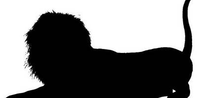 Животные 3359