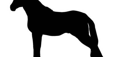 Животные 1202