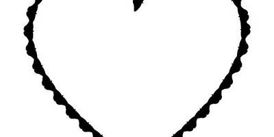 Животные 3414