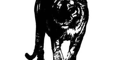 Животные 1433