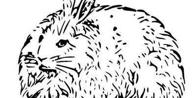 Животные 592